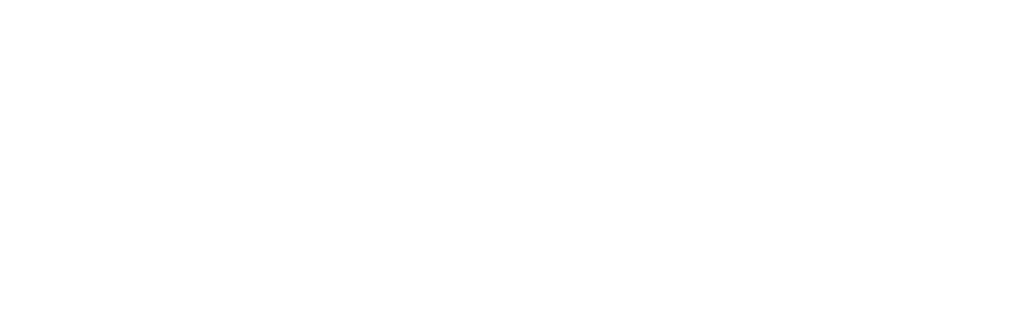 Domroese Englisch Logo Weiss